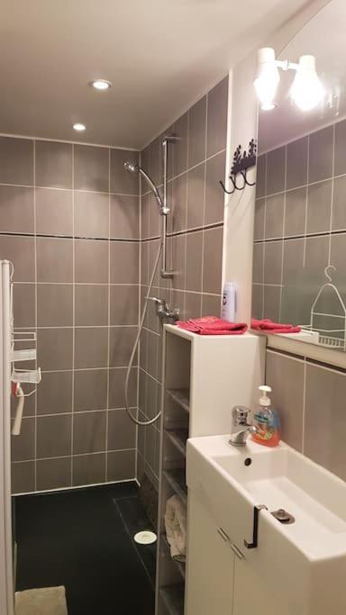 Studio, Mons Sart, Proche Lille Et Metro Kültér fotó